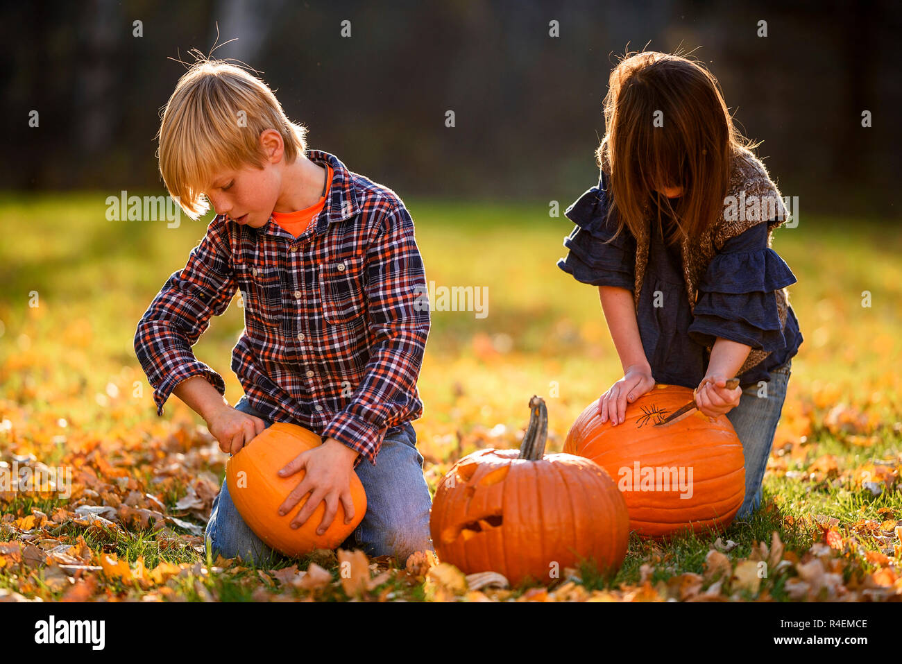 Bruder und Schwester im Garten schnitzen Halloween Kürbisse sitzen, United States Stockfoto