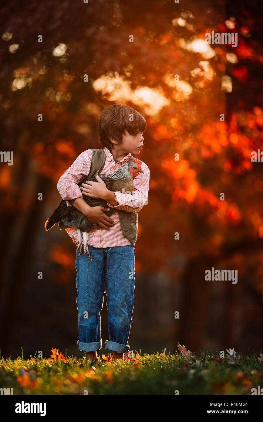 Junge draußen Kuscheln ein Huhn, United States Stockfoto