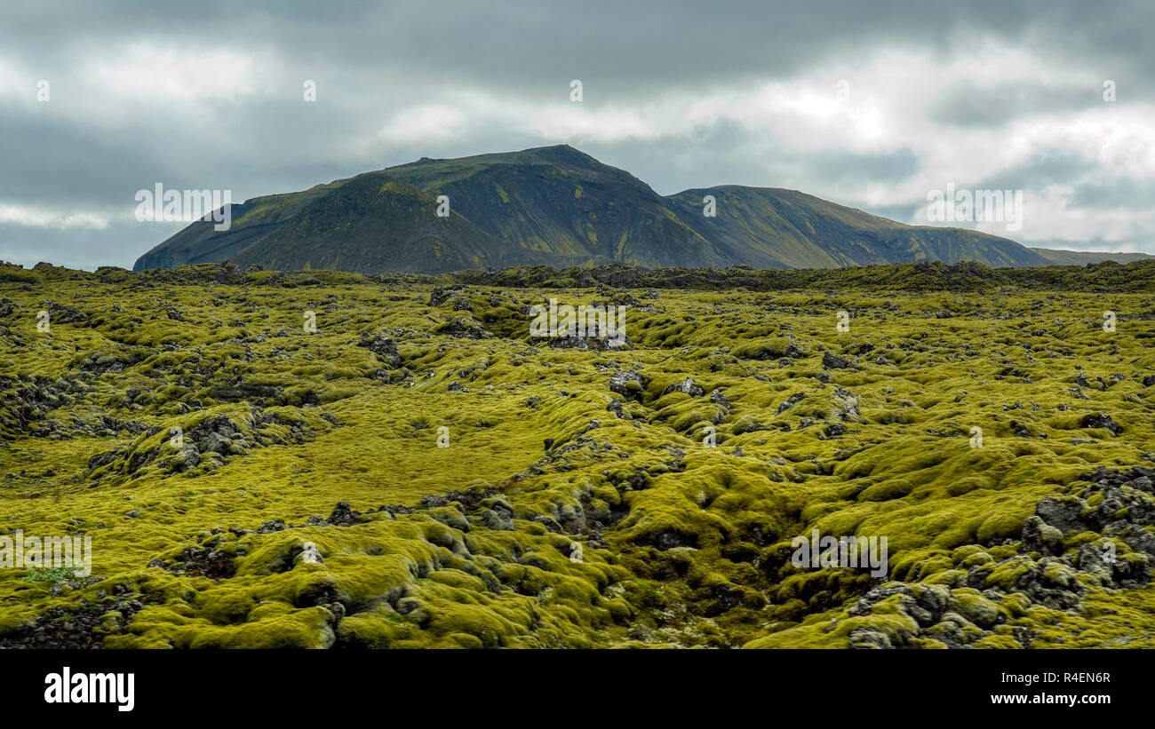 Eldhraun Lavafeld in der Nähe von Dorf Kirkjubaejarklaustur, South Island. Stockfoto