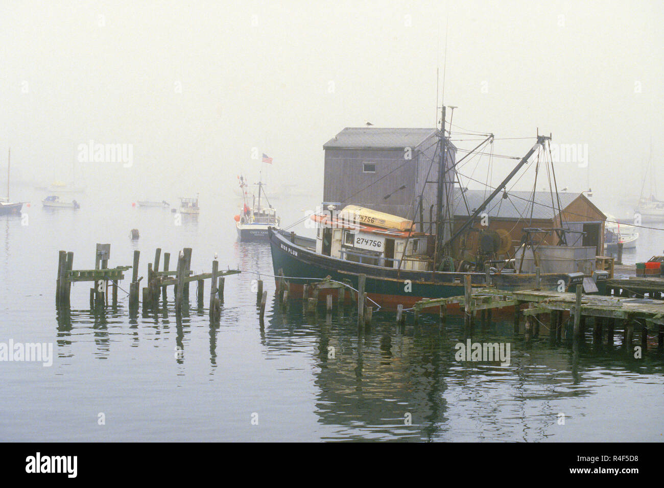 Eine kommerzielle Fish Pier in Boothbay Harbor, Maine, USA Stockfoto