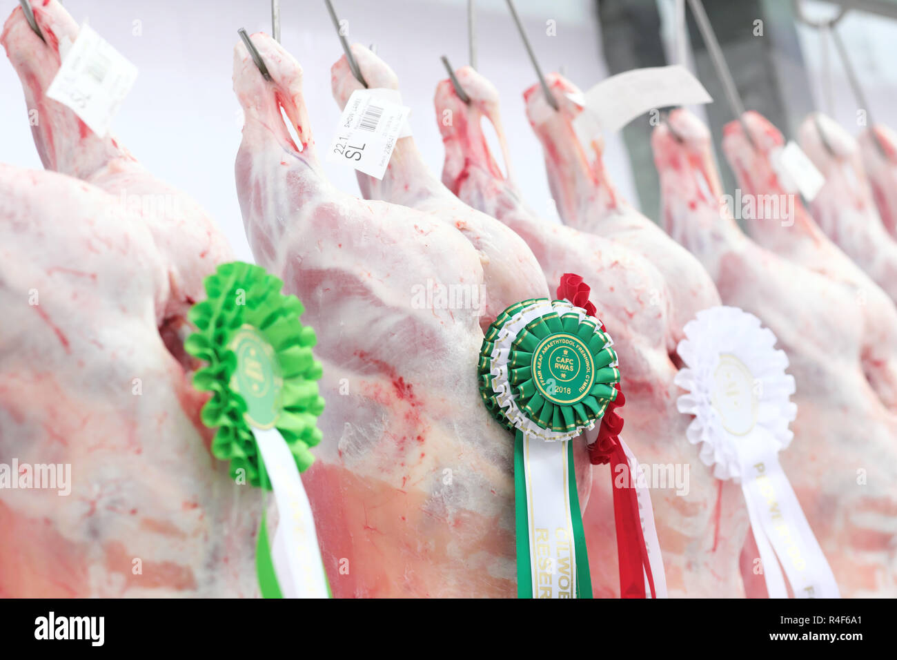 Lammschlachtkörper auf dem Display mit dem Gewinnen Rosetten an der Royal Welsh show in Builth Wells, Powys, Großbritannien Stockfoto