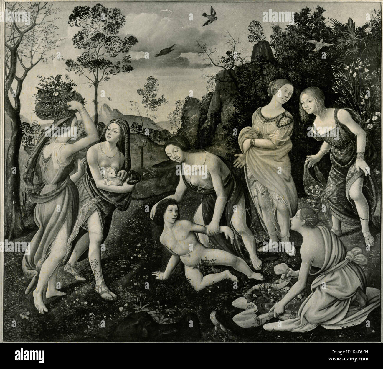Hylas und die Nymphen, Gemälde von Piero di Cosimo Stockfoto