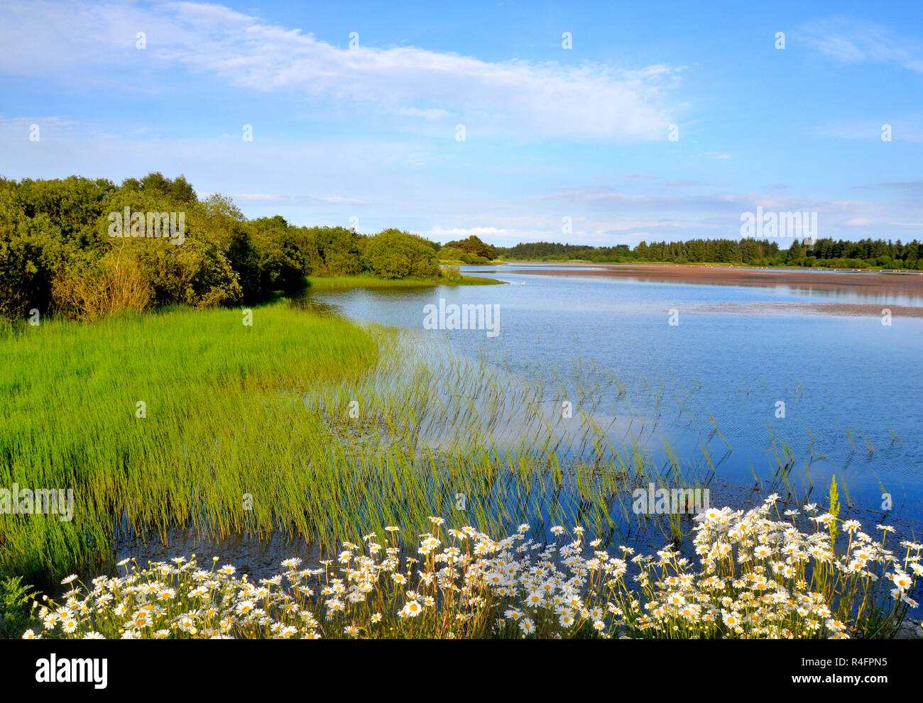 Cameron Reservoir in Fife in der Nähe von St Andrews. Stockfoto