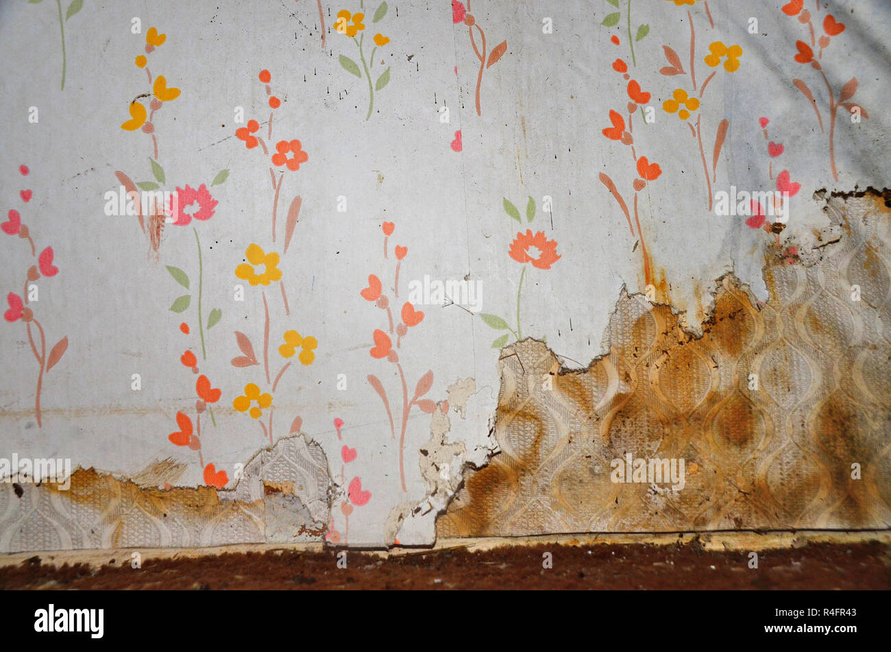 Alte floraler Tapete blätterte von der Wand aufgrund von Feuchtigkeit. Stockfoto