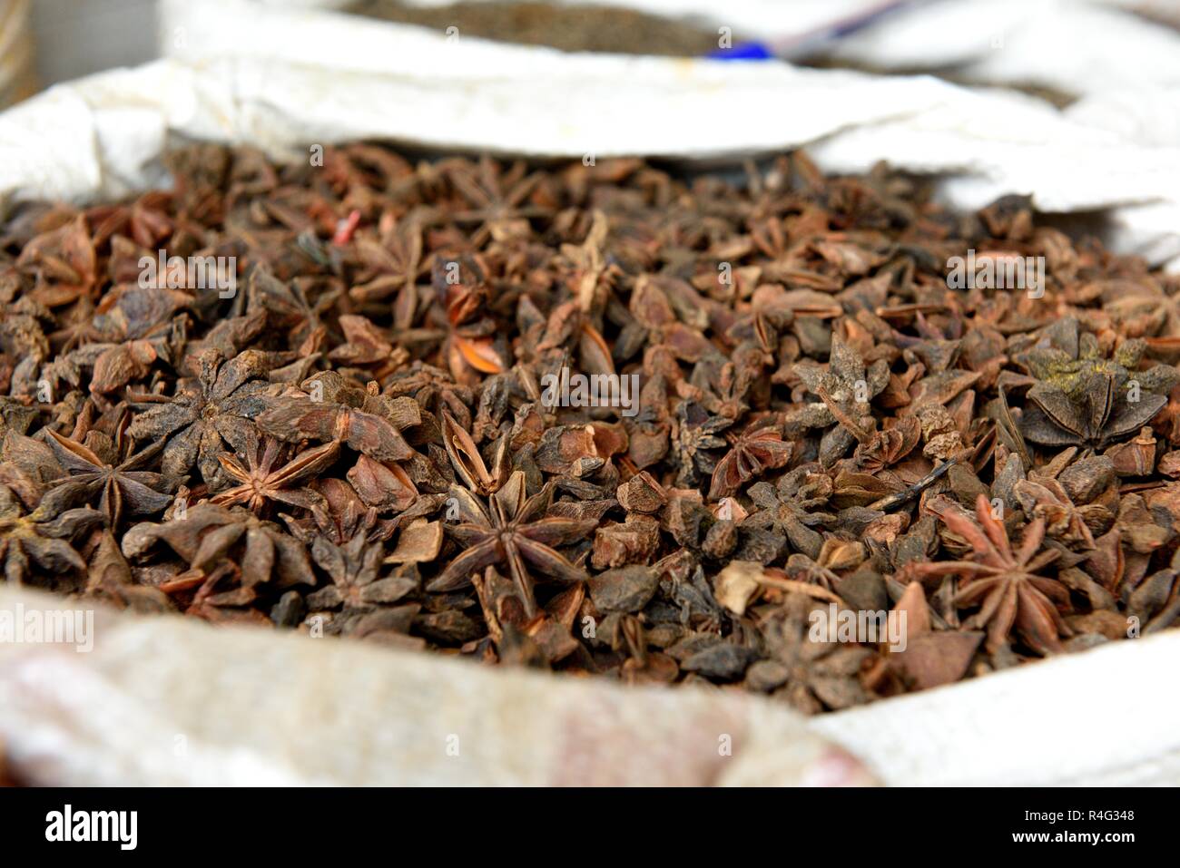 Korb mit frischen, rohen oder Sternanis Illicium verum in einem Spice Market in Jaipur, Rajasthan, Indien. Stockfoto