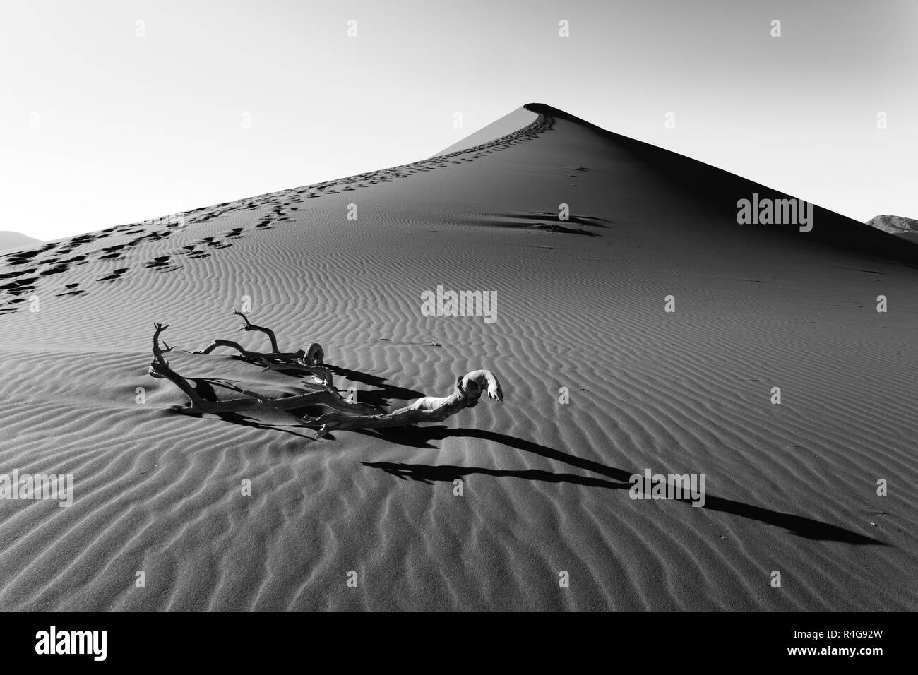 Dünen von Sossusvlei, Namibia. Bild digital geändert Stockfoto