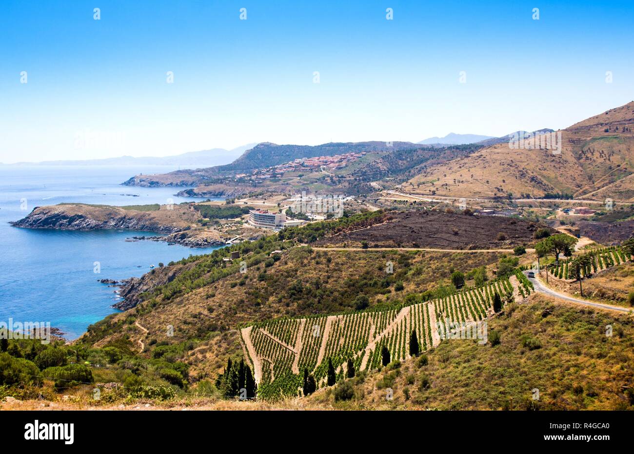 Weinberg Landschaft in der Nähe von Banyuls-sur-mer, Pyrenees Orientales, Roussillon, Vermeille-küste, Frankreich Stockfoto