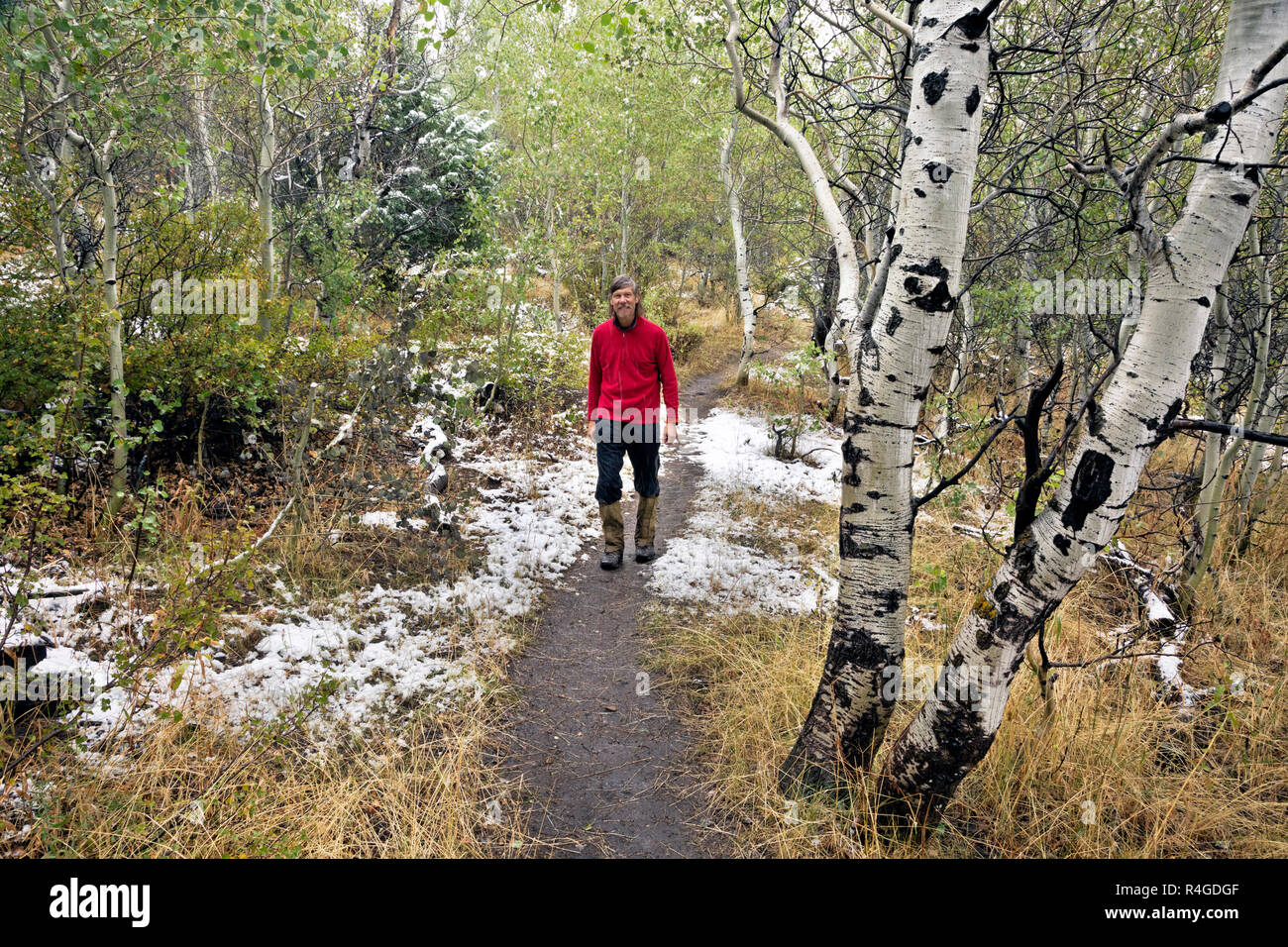 ID 00702-00 ... IDAHO - Wanderer auf den Tee Wasserkocher Trail in der Stadt Rocks National Reserve. Stockfoto