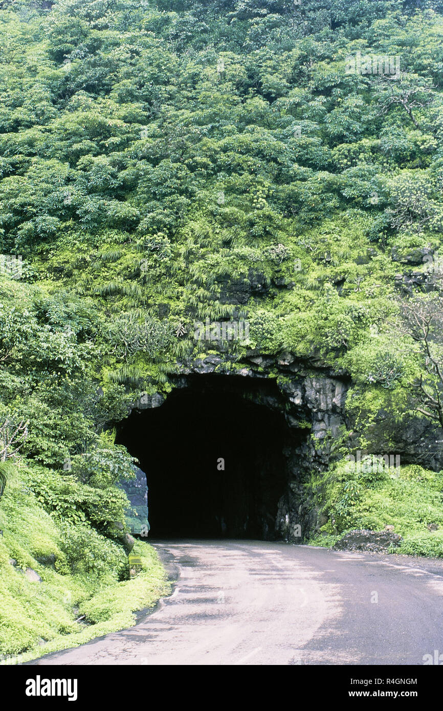 Tunnel und grün Malshej Ghat, Maharashtra, Indien, Asien Stockfoto