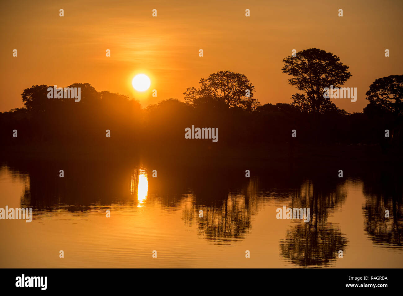 Flusslandschaft mit Rio Negro bei Sonnenuntergang, Fazenda Barranco Alto, Pantanal, Mato Grosso do Sul, Brasilien Stockfoto