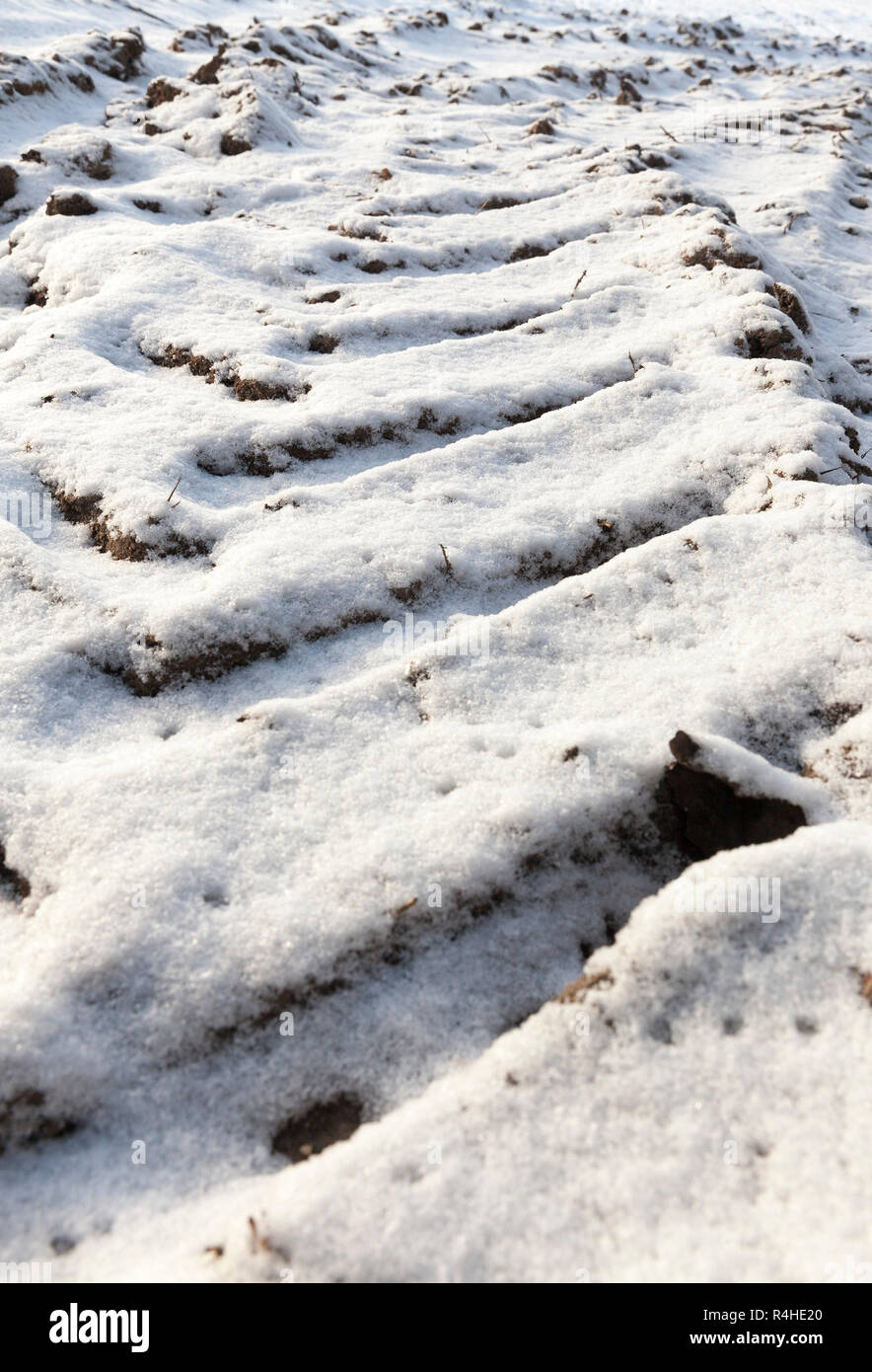 Spuren des Autos auf Schnee Stockfoto