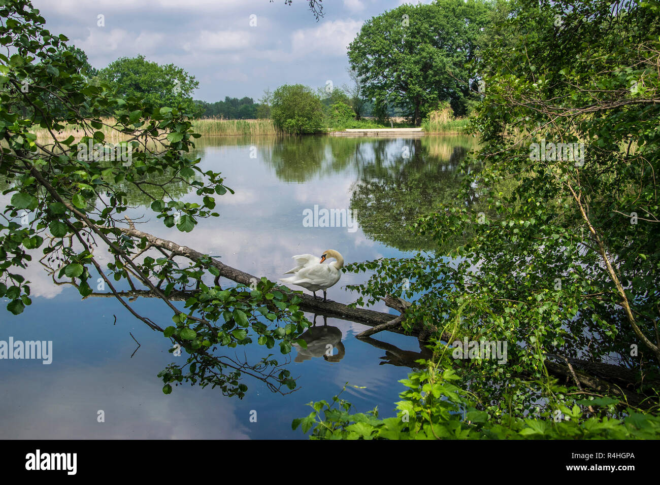 Oberlausitzer Teichlandschaft, UNESCOBiosphärenreservat gute Tanner