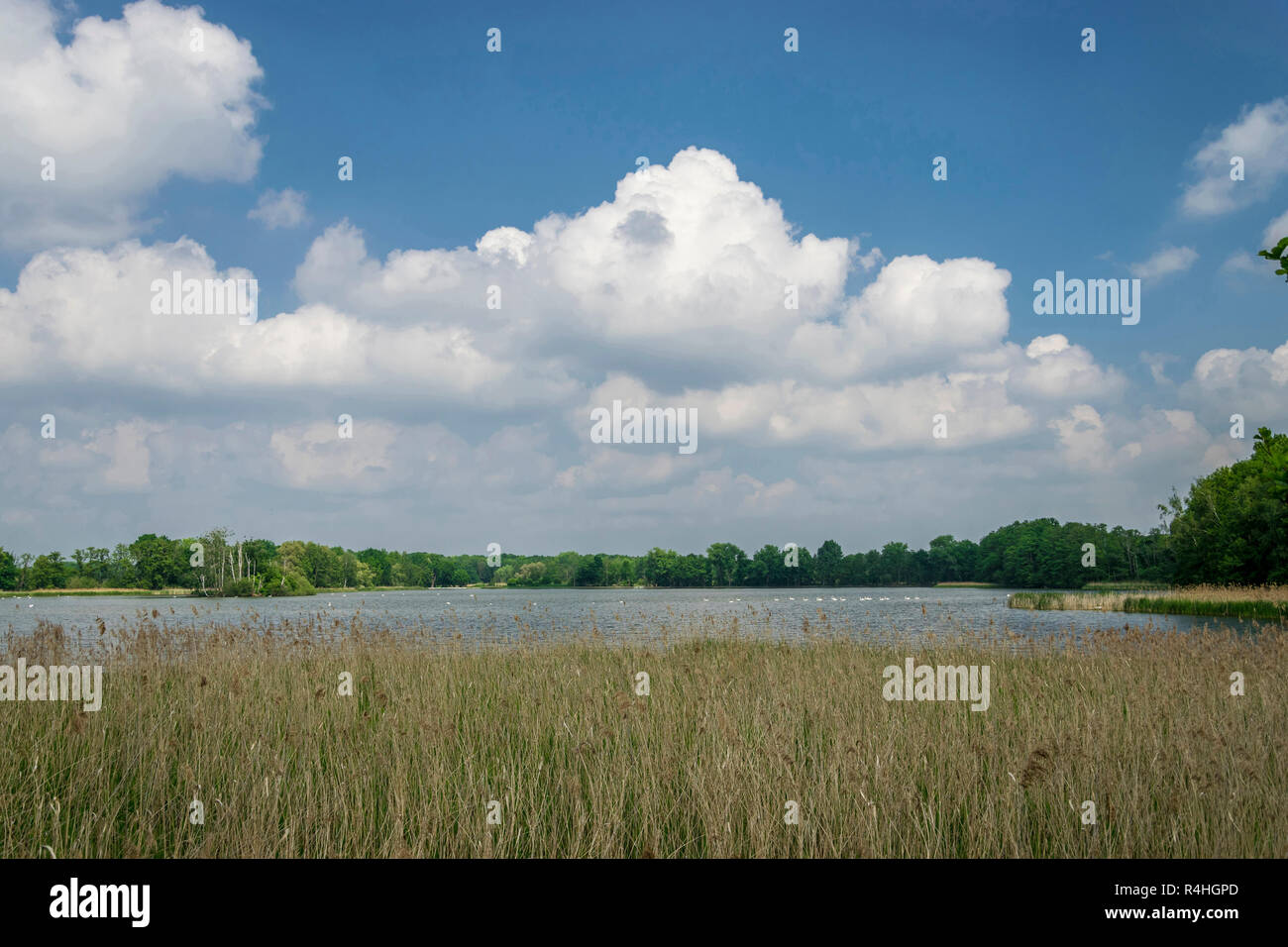Oberlausitzer Teichlandschaft, UNESCOBiosphärenreservat gute Tanner