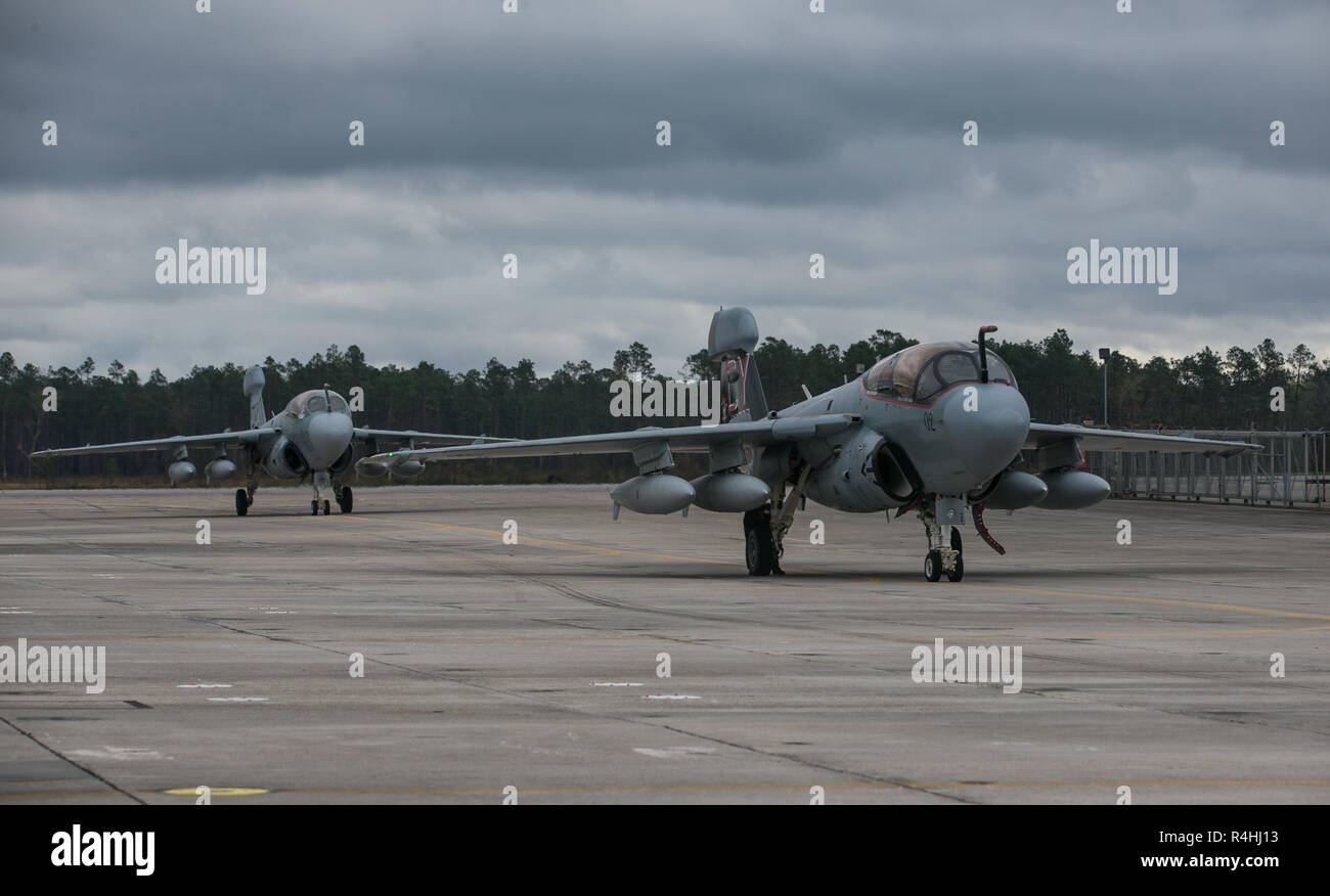 Us Marine Corps EA-6B Prowlers zu Marine taktische elektronische Kriegsführung Squadron (VMAQ) 2 zugeordnet sind, auf den Flug Linie an der Marine Corps Air Station Cherry Point, North Carolina, November 13, 2018 geparkt. Die prowlers zurück von einem Einsatz in Unterstützung des United States Central Command im Nahen Osten. VMAQ-2 ist ein Teil der Marine Flugzeuge Gruppe 14, 2. Marine Flugzeugflügel. (U.S. Marine Corps Foto von Cpl. Jered T. Stein) Stockfoto