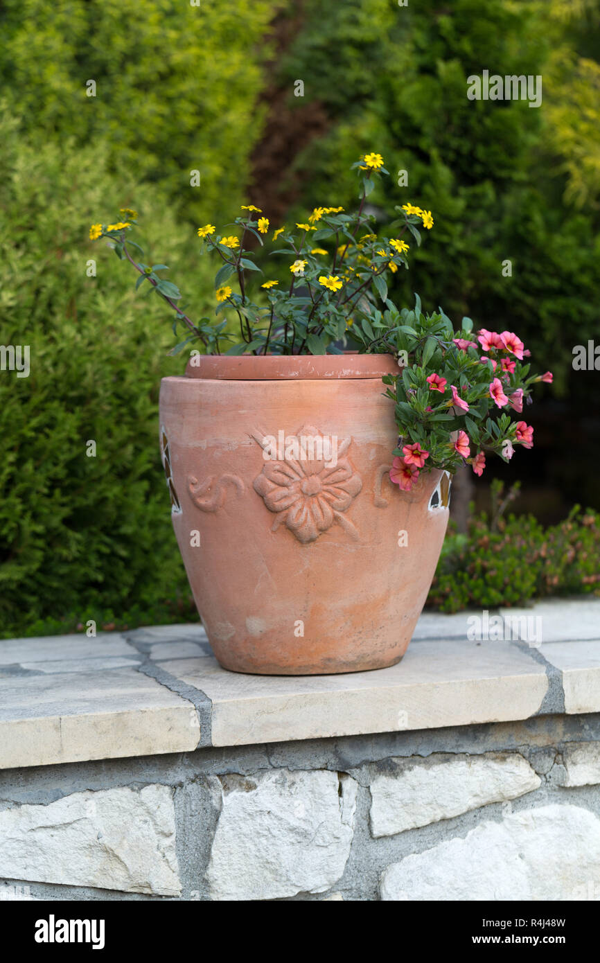 Gelb und rosa Blumen in der Keramik Blumentopf Stockfoto