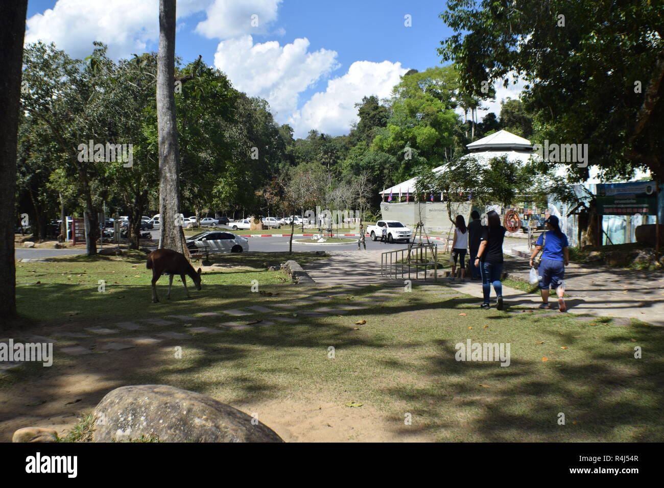 Khao Yai Nationalpark Thailand Stockfoto