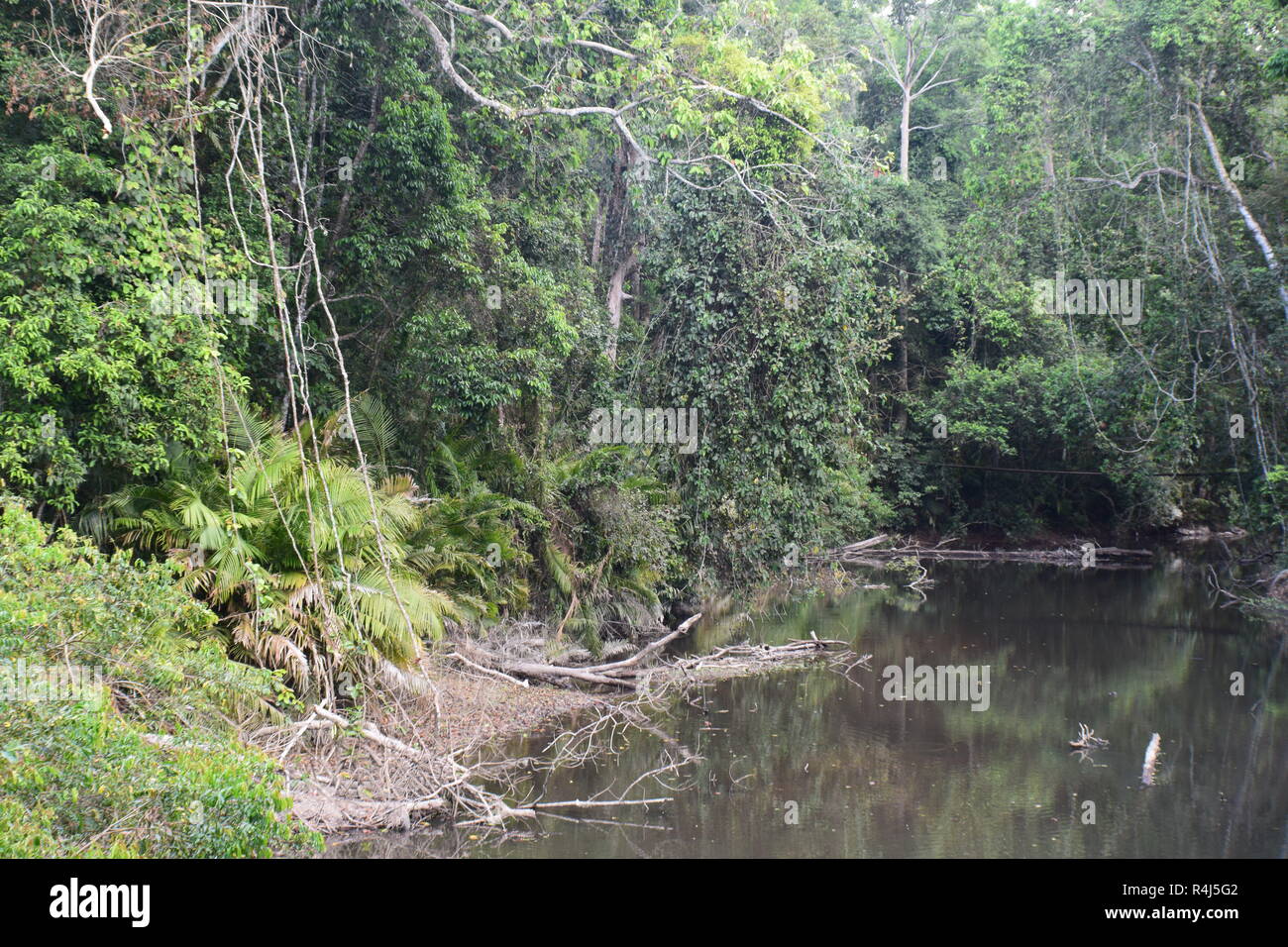 Khao Yai Nationalpark Thailand Stockfoto