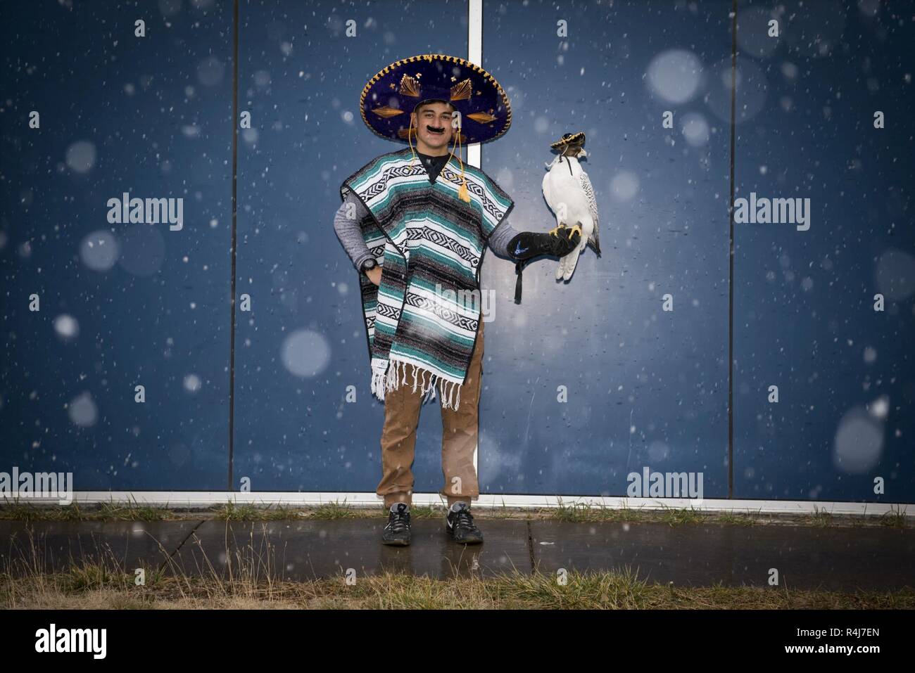 Us AIR FORCE ACADEMY, Colo.-- usafa Falknerei Mitglied des Programms, Cadet 3. Klasse, Nick Volpe gekleidet ist und bereit für Halloween. Cadet Volpe stellt für ein Portrait mit einer der Falken hilft er Zug bei mehreren Veranstaltungen während des ganzen Jahres durchzuführen. Stockfoto