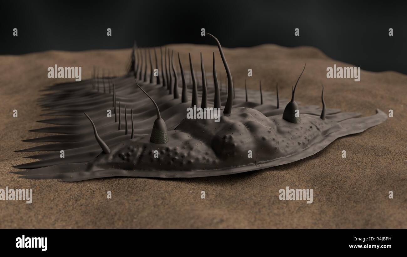 prähistorische Trilobit 3D-Illustration Stockfoto