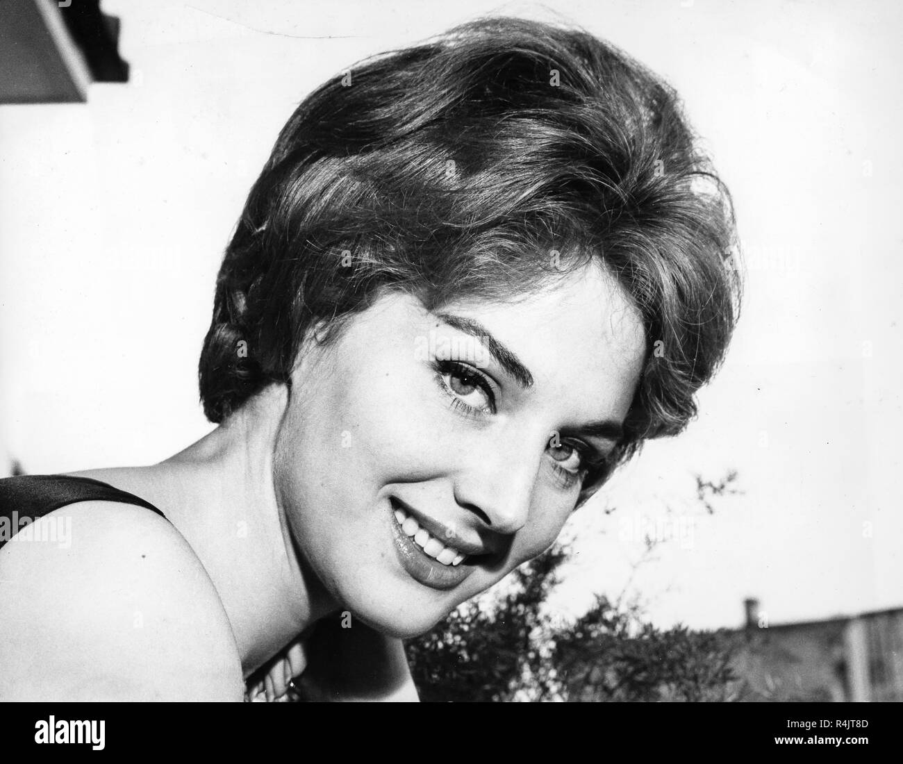 Download Leonora Background