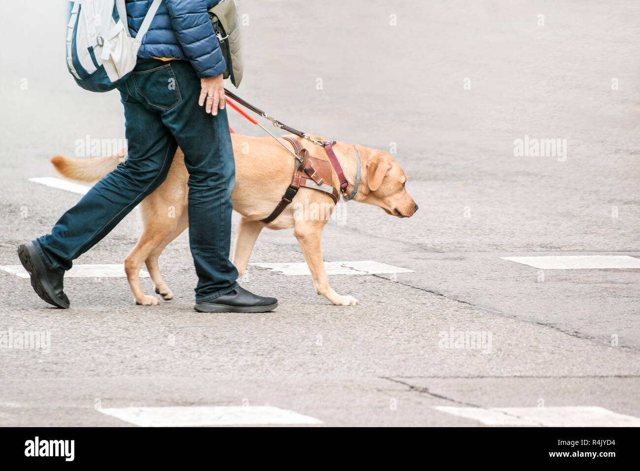 Blinde Menschen mit einem Hund zu Fuß durch die Fußgängerzone in der Stadt. Leere Raum für Editor's Text. Stockfoto