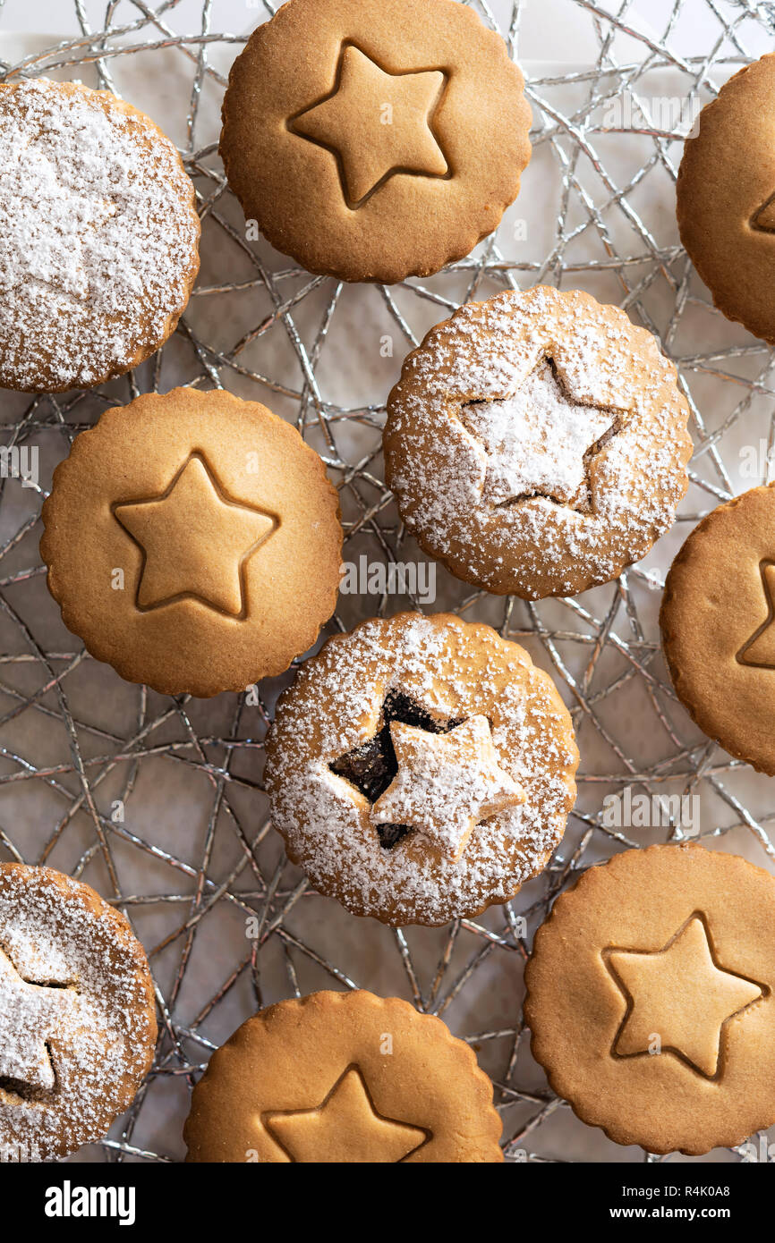 Kleine Lebkuchen Obst mince Torten mit Puderzucker bestäubt. Stockfoto