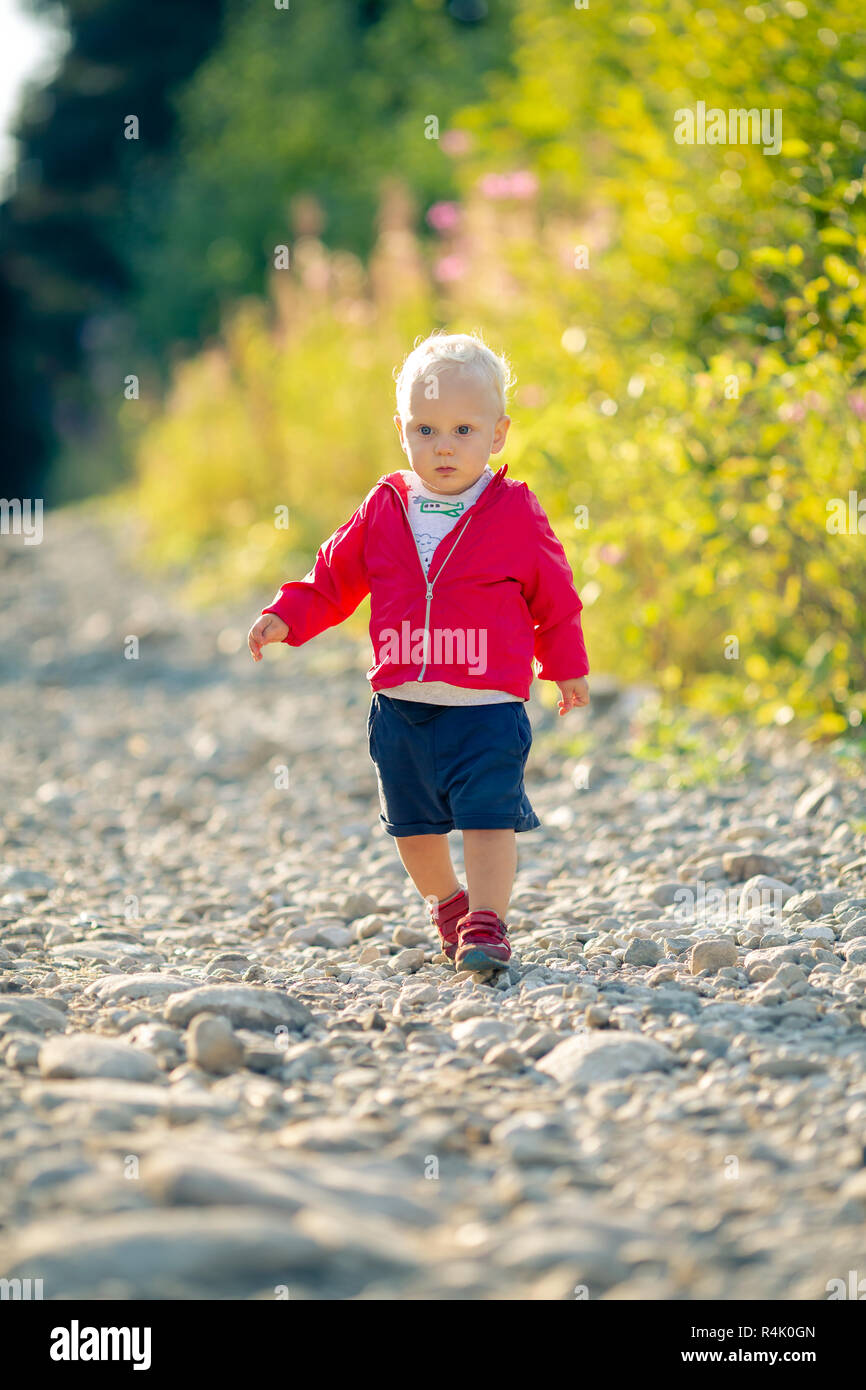 Baby Boy Wandern auf Feldweg in den Wald. Junge Kind auf Urlaub Wandern. Inspirierende Reise- und Tourismus-Konzept. Stockfoto