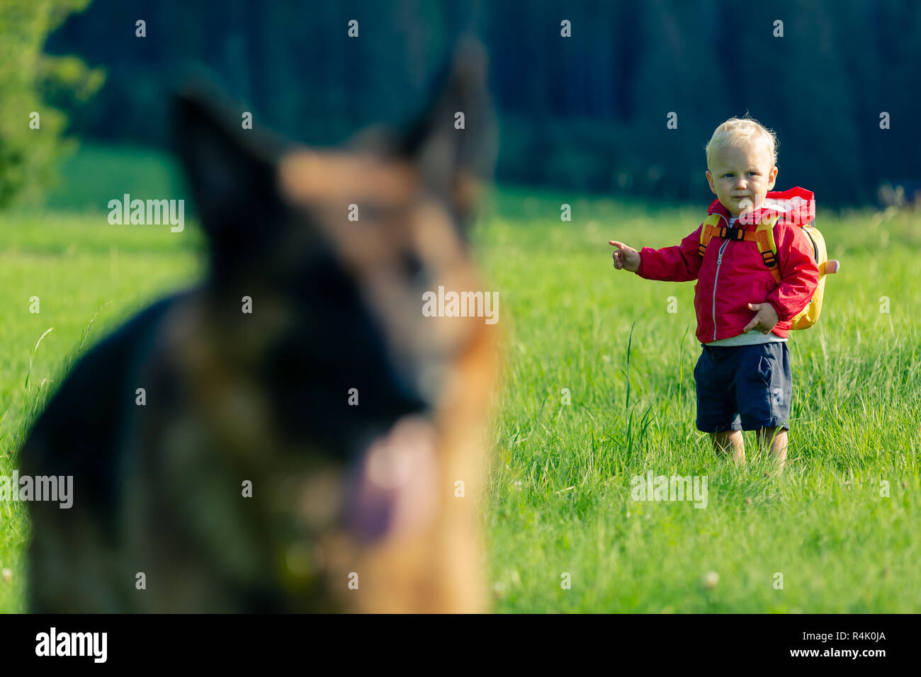 Baby Boy spielen mit Hund auf der grünen Wiese. Junge Kind auf Urlaub Wandern. Inspirierende Reise- und Tourismus-Konzept. Stockfoto