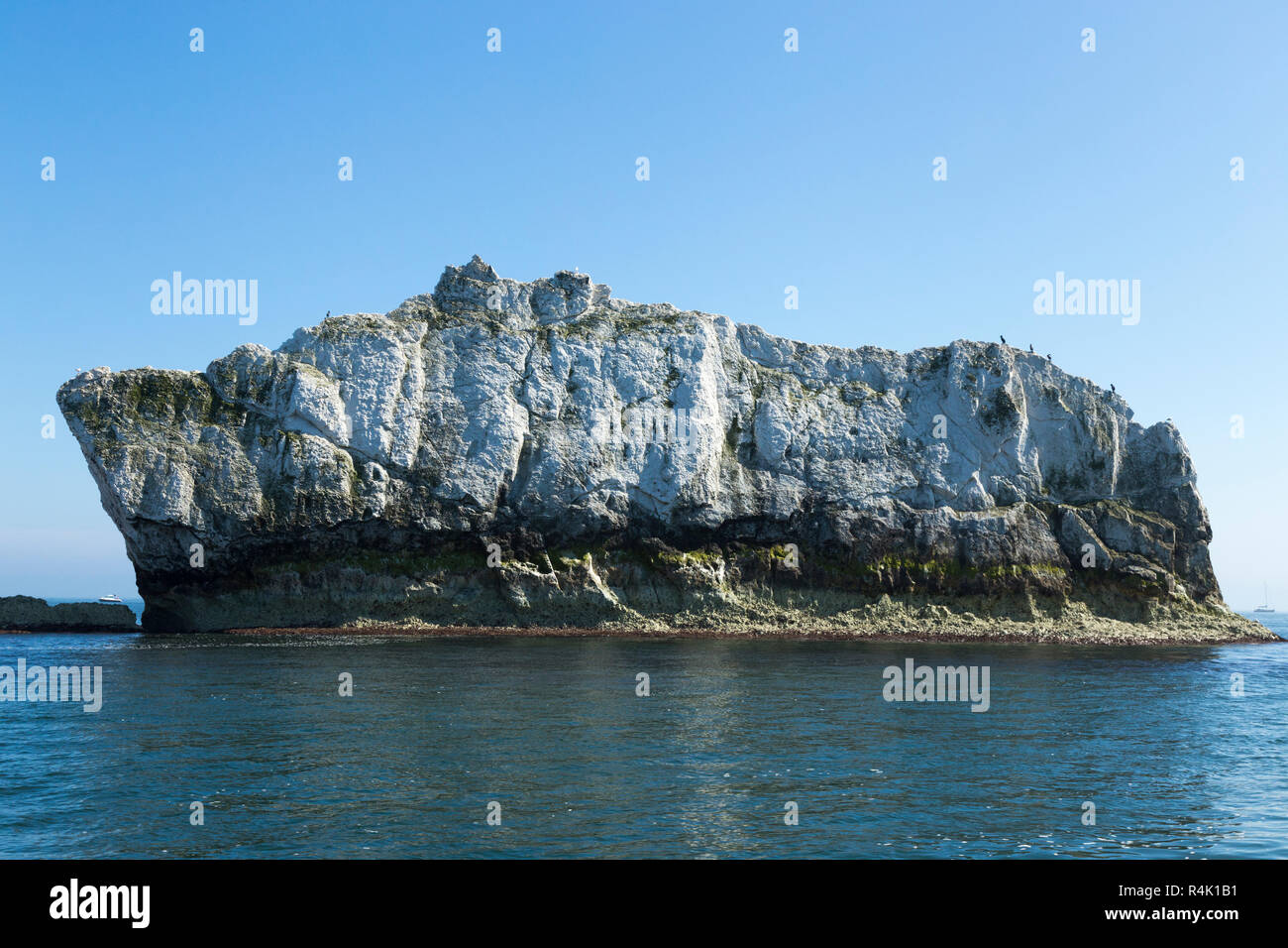 Die erste Nadel (also den ersten Nadel am nächsten Festland) der Nadeln Felsen an einem sonnigen Sommertag mit blauem Himmel und Sonnenschein. Isle of Wight. UK. Aus einem touristischen Boot im Alum Bay gesehen. (98) Stockfoto