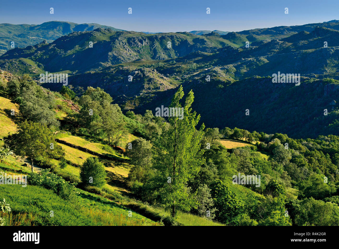 Blick auf einer grünen Berglandschaft Stockfoto