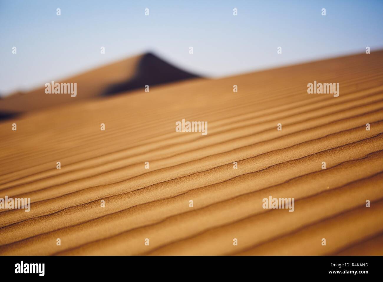 Nahaufnahme der Sanddünen in der Wüste. Wahiba Sands, Sultanat von Oman. Stockfoto