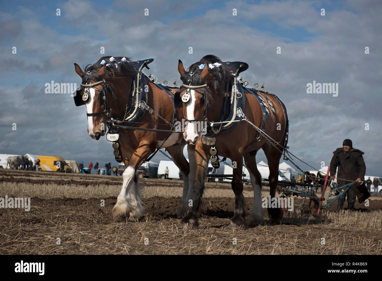 Das Pflügen mit einem Team von Pferde an den 2018 pflügen Meisterschaften Stockfoto