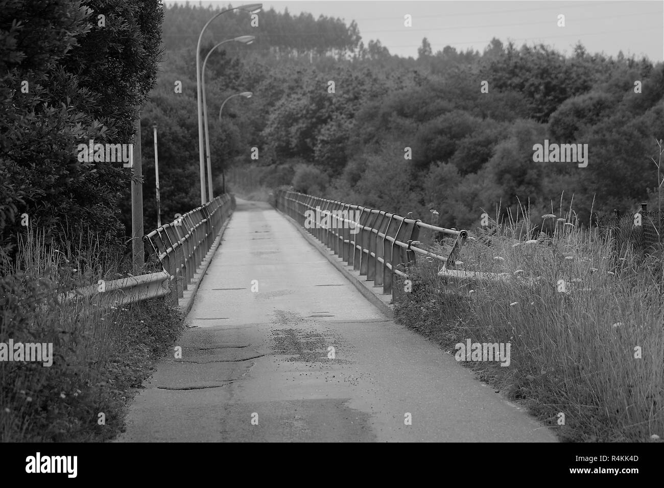 Puente rodeado de vegetación, Stockfoto