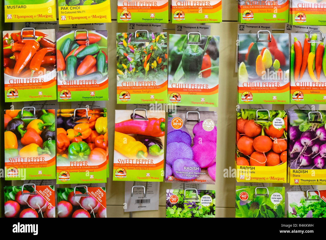 Pakete der Samen für den Verkauf in einem Gartencenter, Surrey, Großbritannien Stockfoto