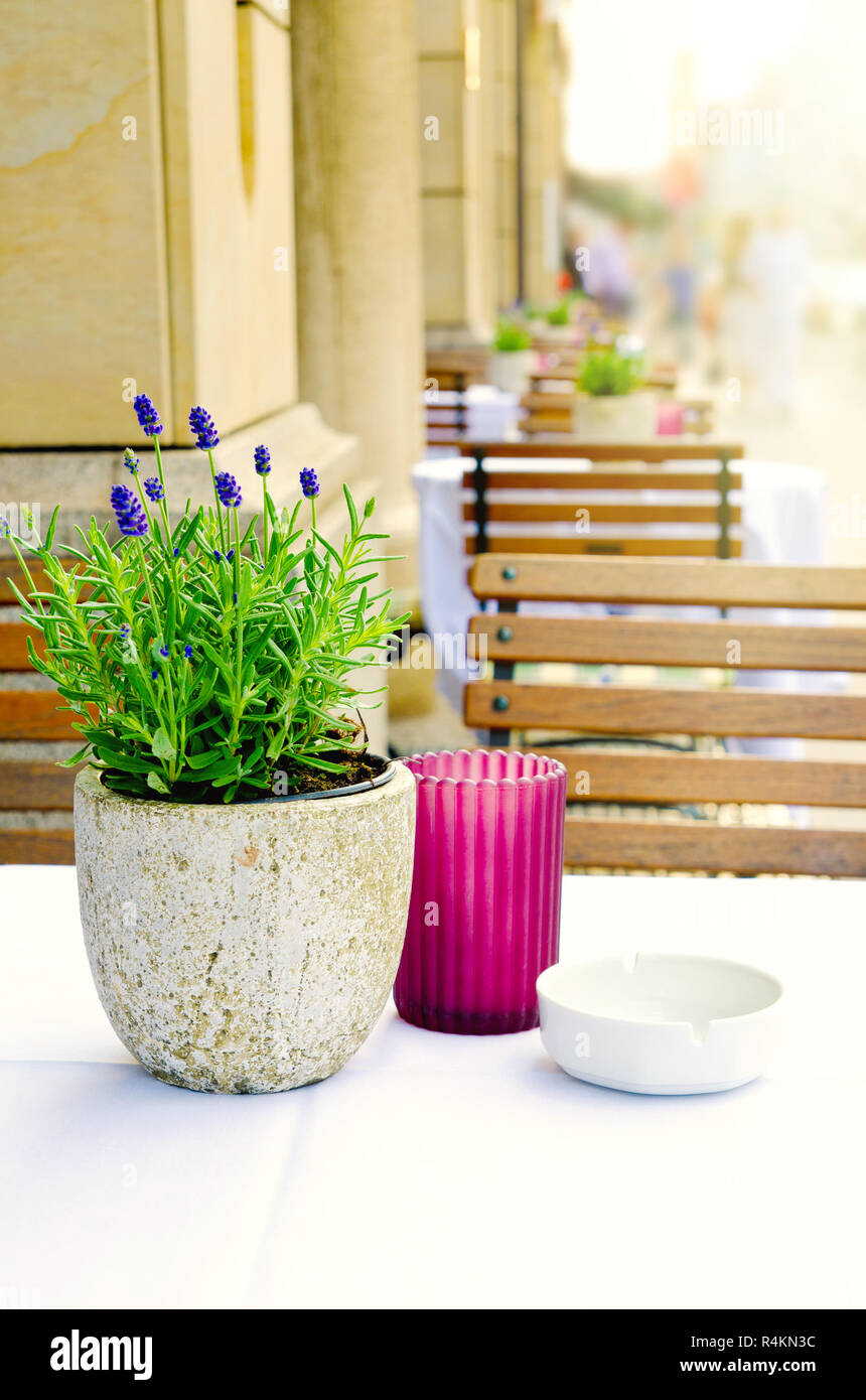 Blumenstrauß auf dem Tisch im Cafe Stockfoto