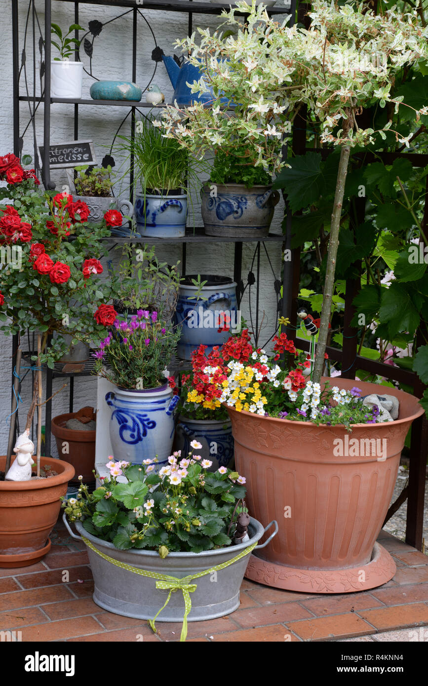 Blumenarrangements Stockfoto