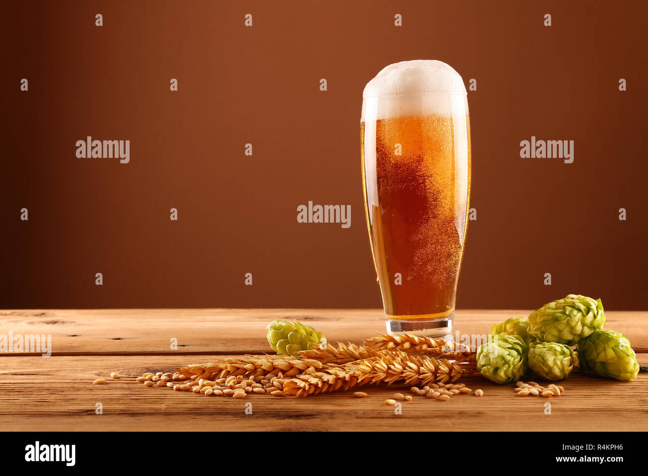 Schließen Sie ein Glas Bier mit Schaum und Blasen, grün Hopfen und Gerste Korn und Spikes auf hölzernen Tisch über dunkelbraunen Hintergrund mit Kopie Raum, Stockfoto