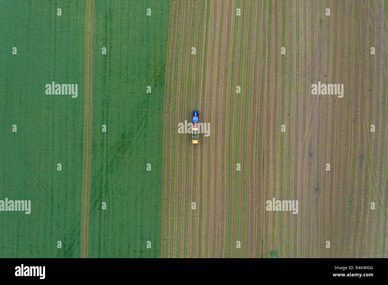 Antenne Blick von oben auf einen Traktor arbeiten in einem landwirtschaftlicher Landwirtschaft Feld Stockfoto