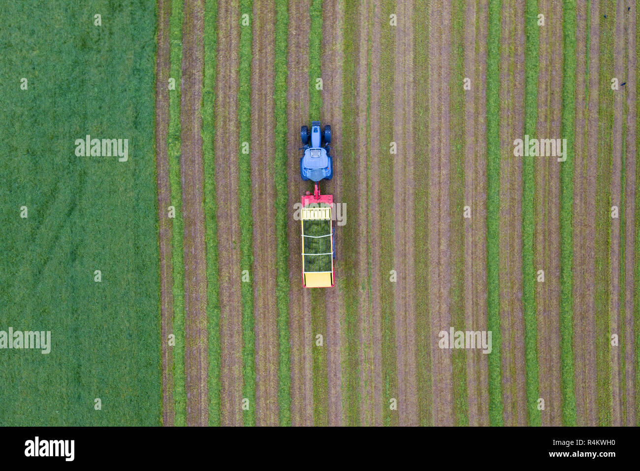 Antenne Blick von oben auf einen Traktor arbeiten in einem landwirtschaftlicher Landwirtschaft Feld Stockfoto