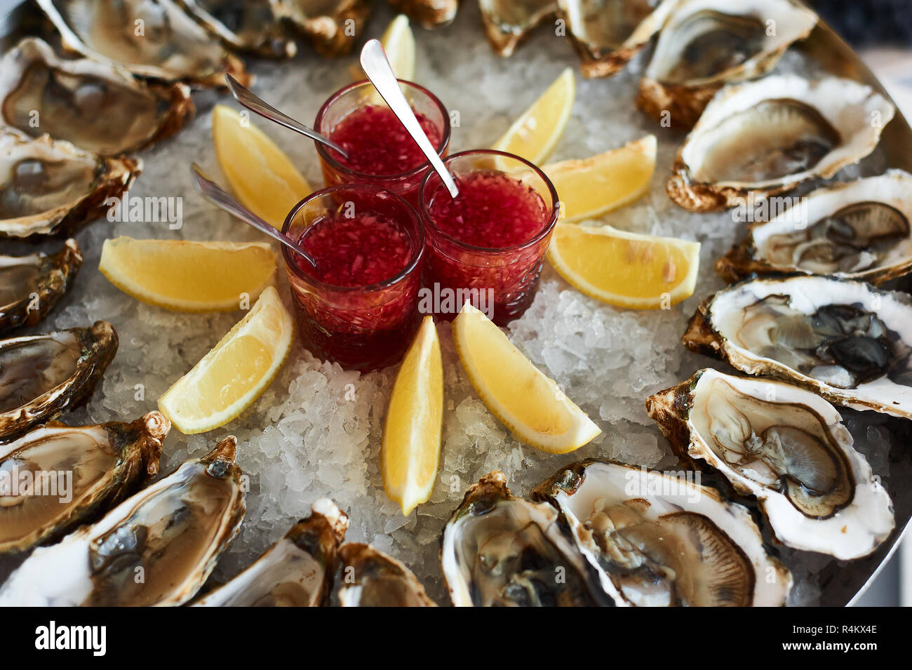 Austern in Eis, mit Soße und Zitrone. Restaurant ernähren. closeup Stockfoto