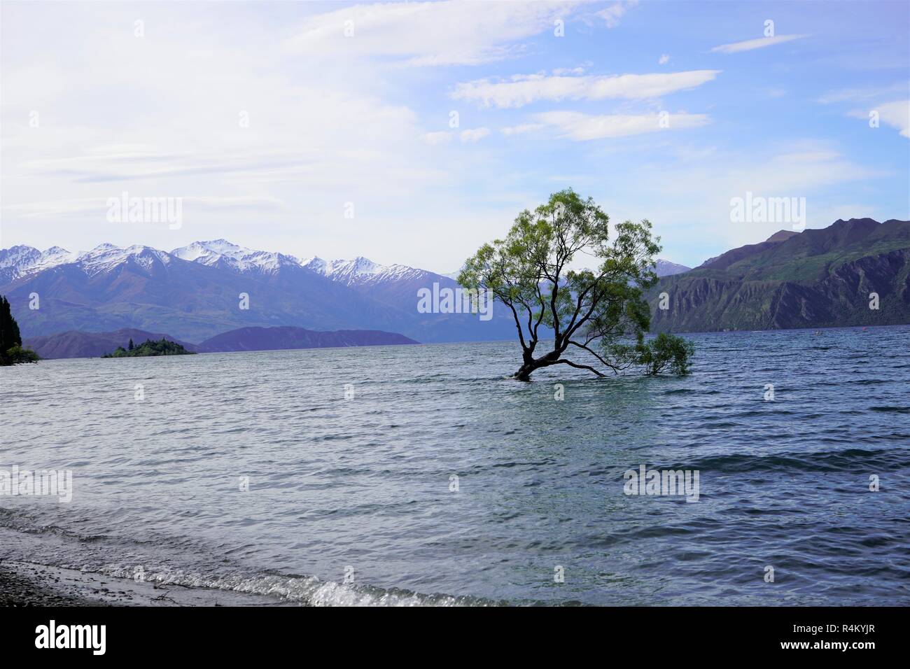 Baum im See, umgeben von Bergen, Lake Wanaka, Neuseeland Südinsel Stockfoto