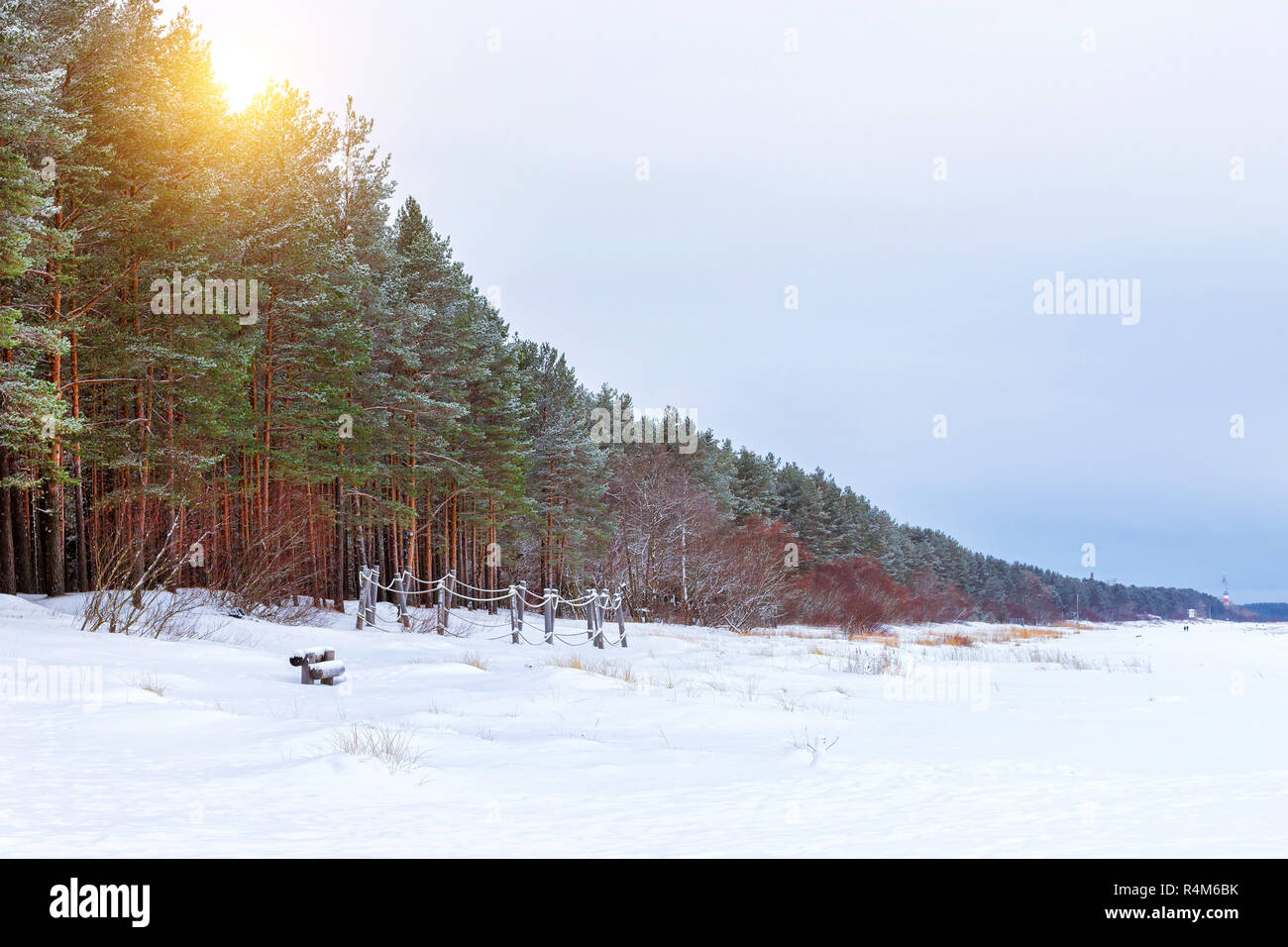 Winter tag auf verschneiten Ufer der Narva Bay. Schnee auf dem Eis des zugefrorenen Finnischen Meerbusen. Narva-Joesuu Resort Stadt in Estland Ida-Virumaa. Schwere nördlichen Winter und Schnee. Pinienwald Pinienwald Stockfoto