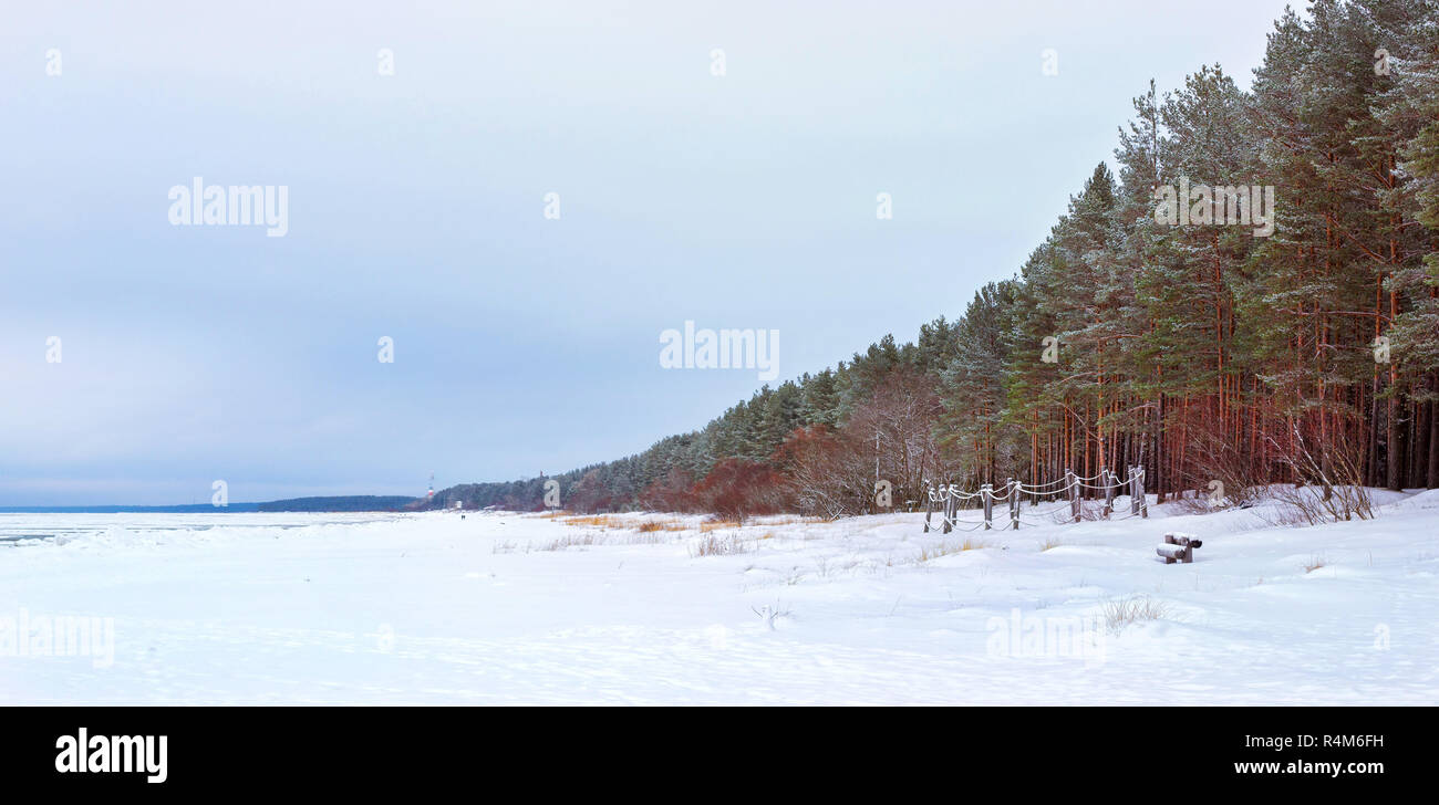 Winter tag auf verschneiten Ufer der Narva Bay. Schnee auf dem Eis des zugefrorenen Finnischen Meerbusen. Narva-Joesuu Resort Stadt in Estland Ida-Virumaa. Schwere nördlichen Winter und Schnee. Pinienwald Pinienwald Stockfoto