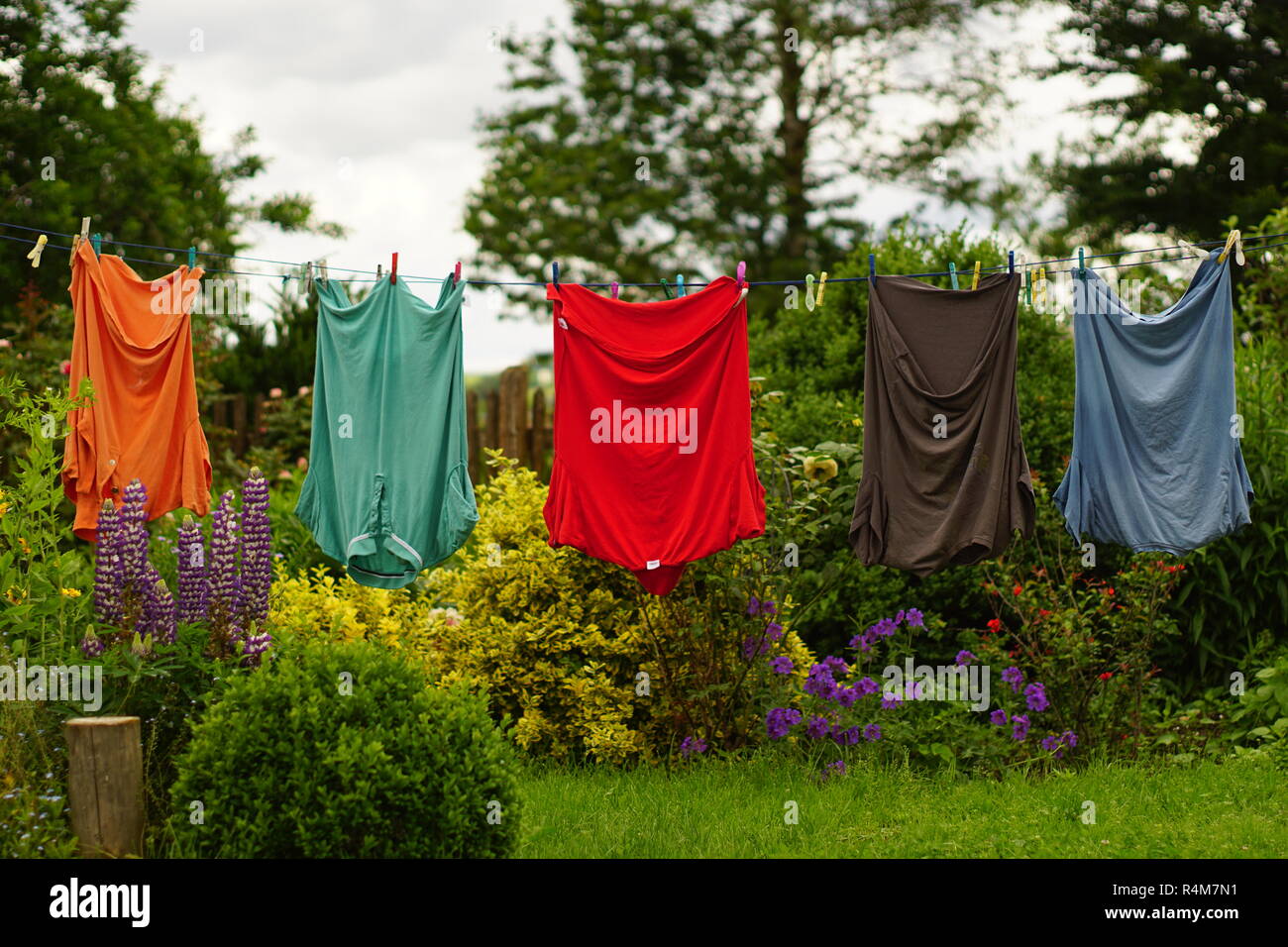 Klamotten Online im Garten Stockfoto