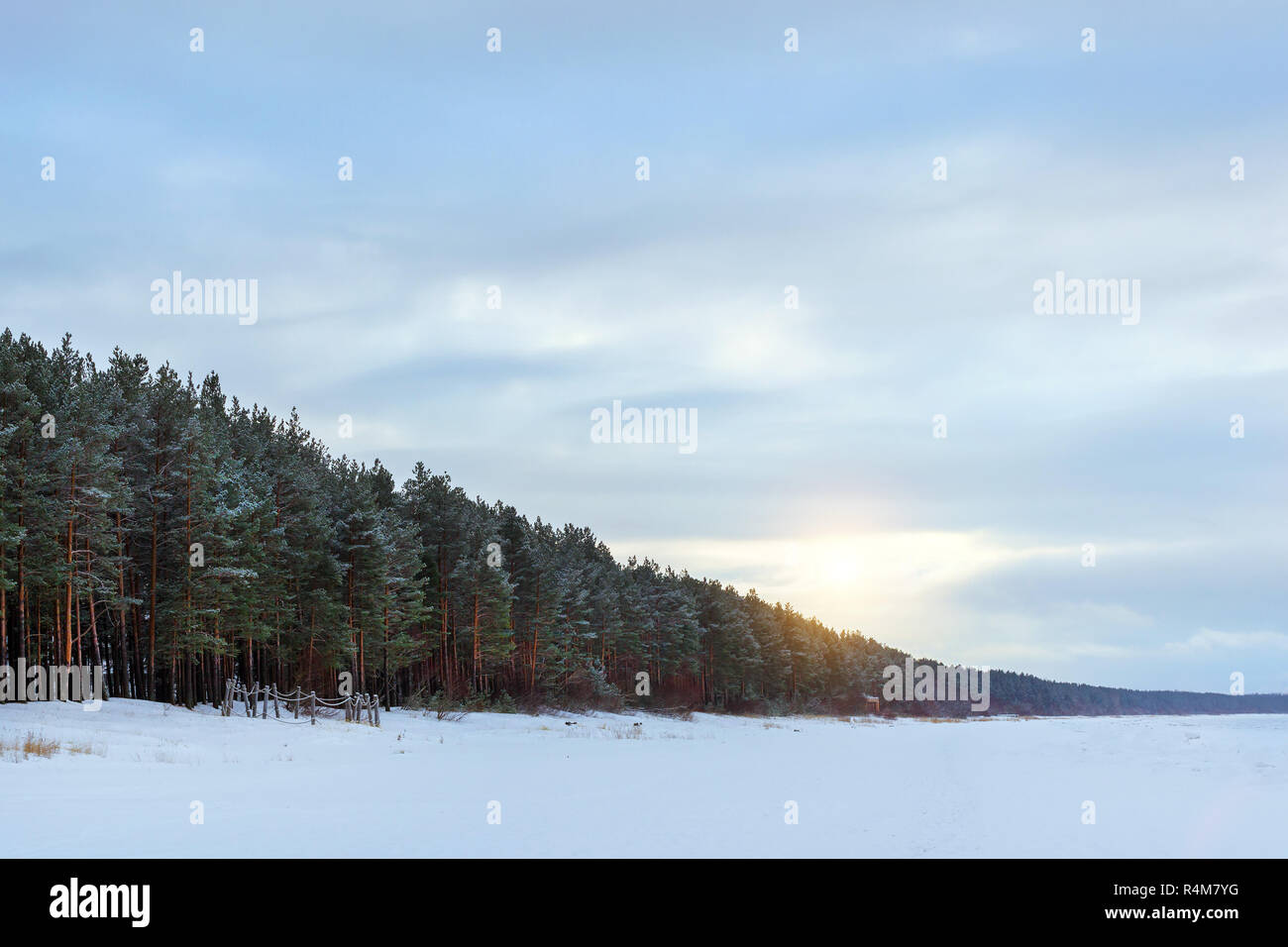 Winter tag auf verschneiten Ufer der Narva Bay. Schnee auf dem Eis des zugefrorenen Finnischen Meerbusen. Narva-Joesuu Ferienort Estland in Ida-Virumaa. Schwere nördlichen Winter und Schnee. Pinienwald Pinienwald Stockfoto