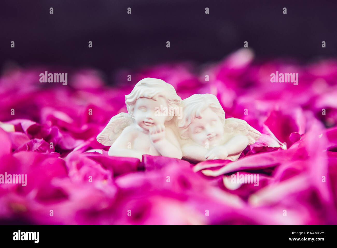 Statue Von Zwei Antike Wenig Schone Engel Der Gips Auf Der Schwarze Stein Hintergrund Mit Rosa Lila Pfingstrose Bluten Liebe Romantische Valent Stockfotografie Alamy