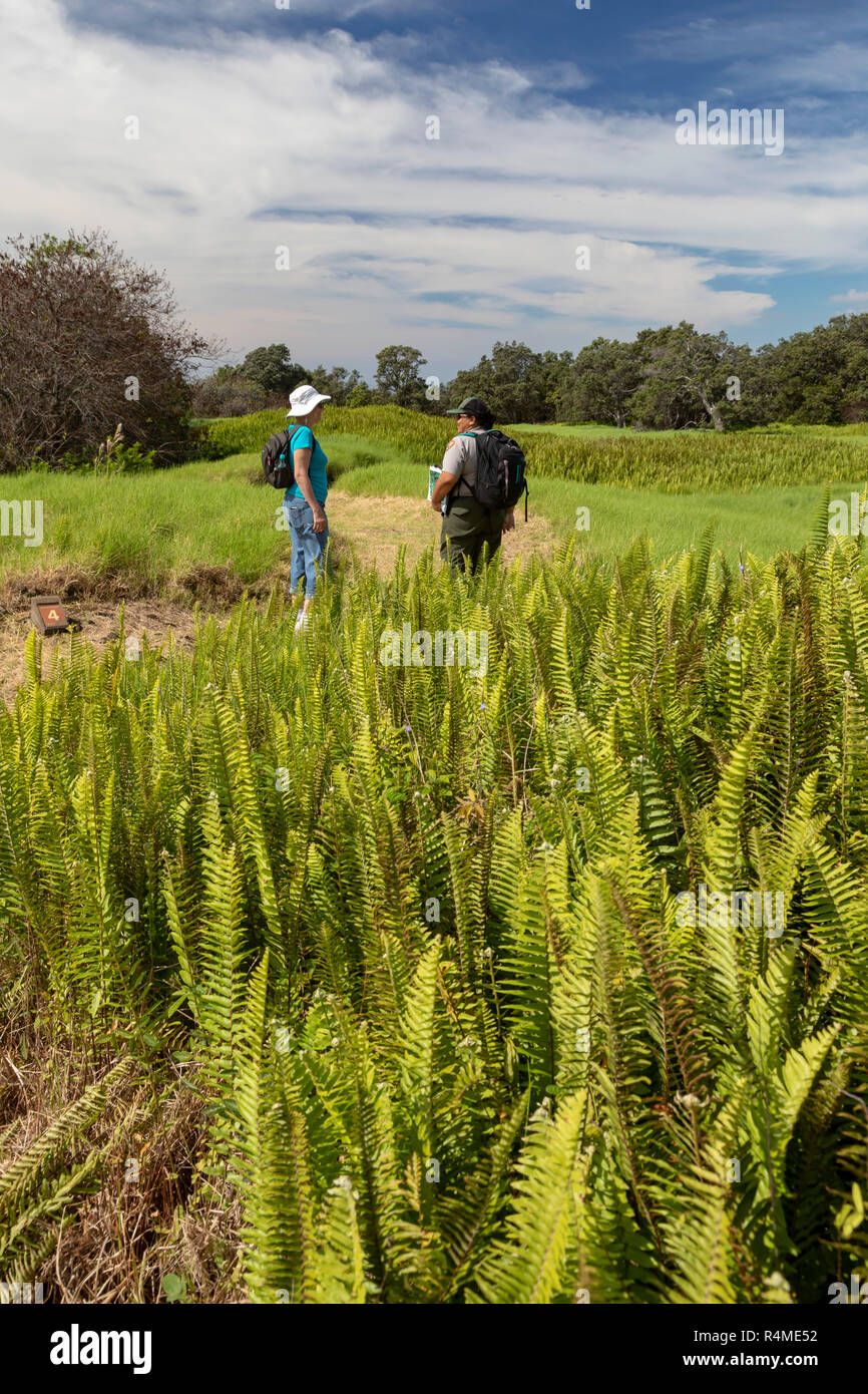 Hawaii Volcanoes National Park, Hawaii - ein Park Ranger Gespräche mit einem Besucher bei einer Wanderung auf dem Pu'u o Lokuana Trail. Stockfoto