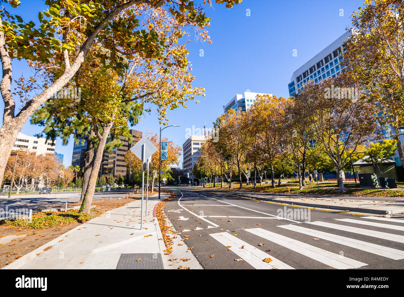 Strasse gesäumt mit Platanen in der Nähe der Innenstadt von San Jose und Gebäude auf beiden Seiten sichtbar, Silicon Valley, South San Francisco Bay Area. Stockfoto
