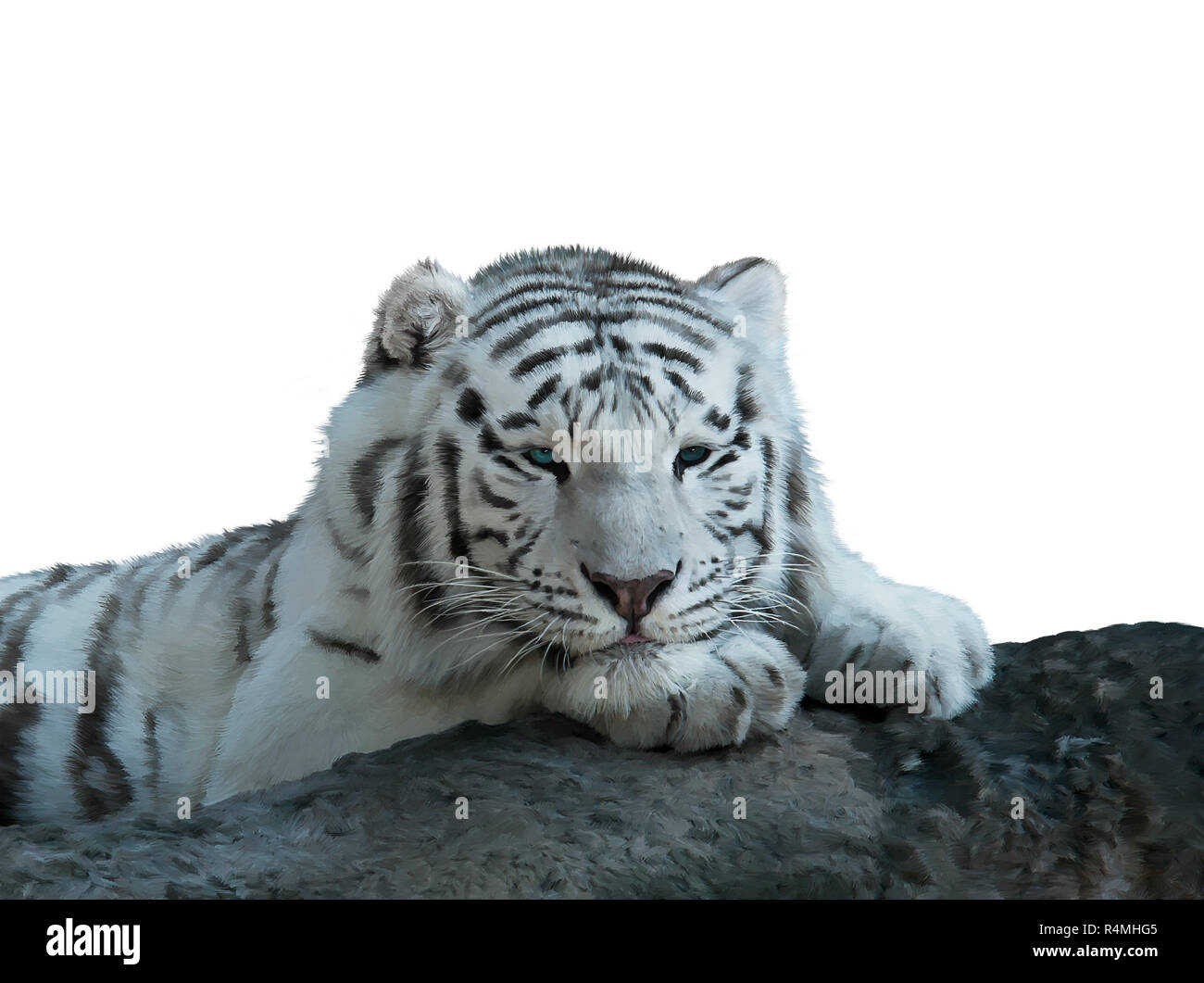 Weißer Tiger Aquarell Stockfoto