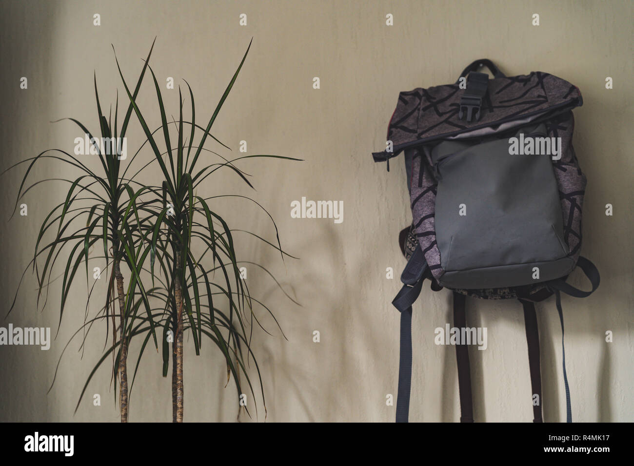 Lila Schule Rucksack an der Wand hängen - isoliertes Objekt mit weißem Hintergrund mit grünen Pflanze daneben, Vintage Film bearbeiten Stockfoto